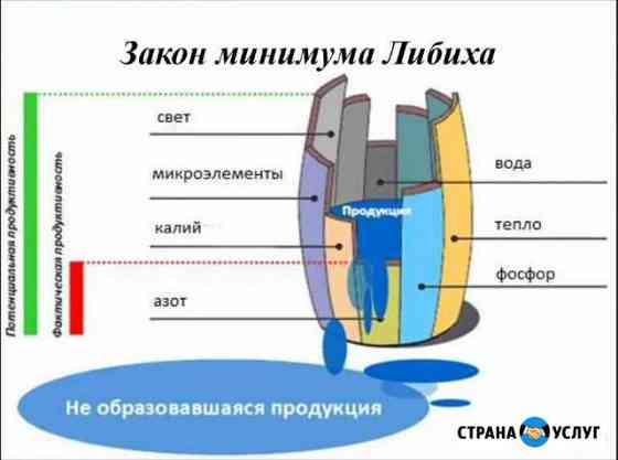 Услуги агронома Персиановский