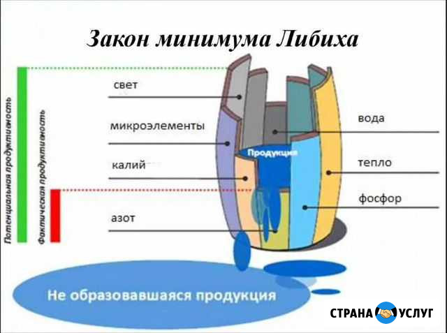 Услуги агронома Персиановский - изображение 1