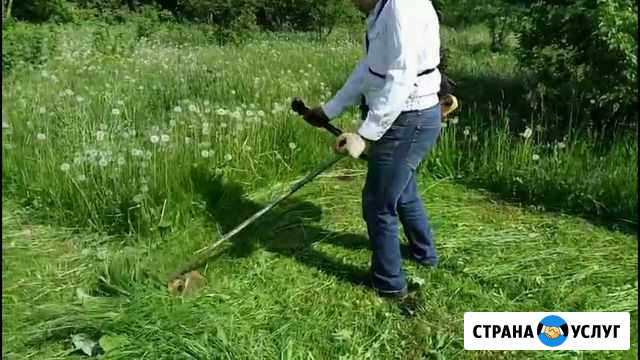 Покос травы амброзии Аксай - изображение 1