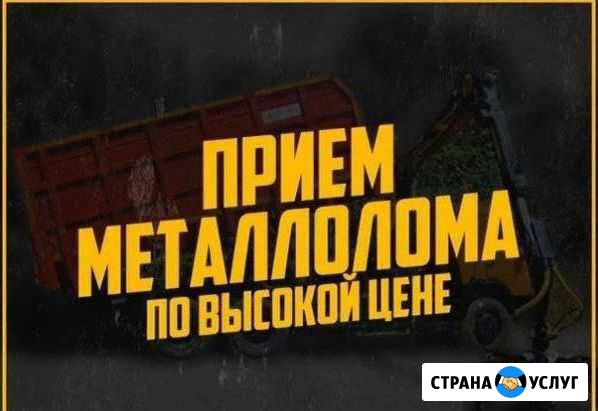 Вывоз металлолома, прием металла, сдать металлолом Новошахтинск - изображение 1