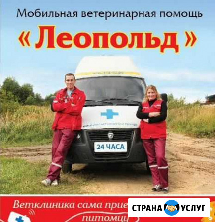 Кастрация котов, стерилизация кошек Нижний Новгород - изображение 1