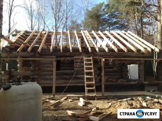 Рубим бани из карельской сухостойной сосны кело Муезерский - изображение 1