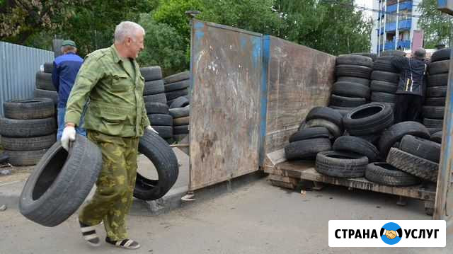 Вывоз и утилизация шин Рязань - изображение 1