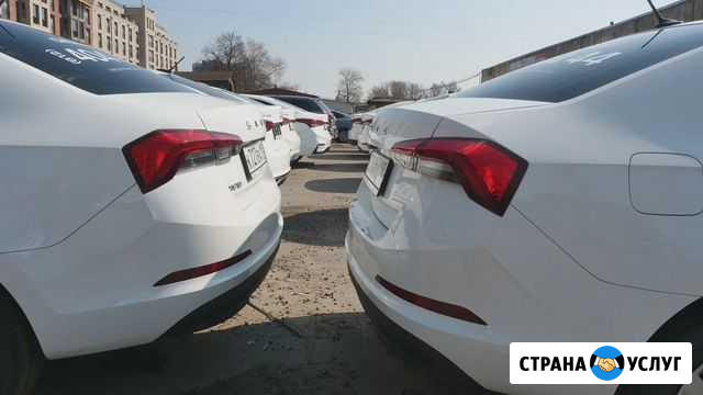 Аренда Шкода Rapid, Хендай Solaris 2021 Санкт-Петербург - изображение 1