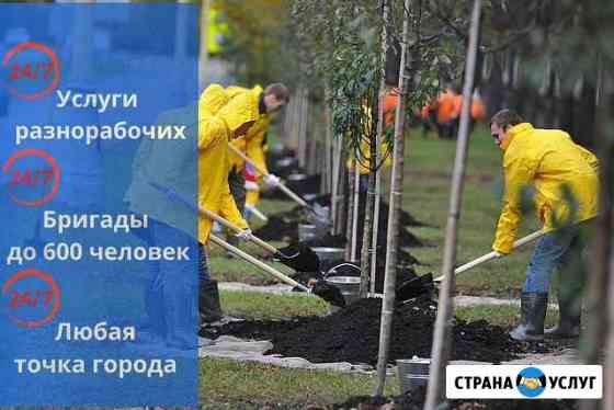 Разнорабочие Грузчики Землекопы Москва
