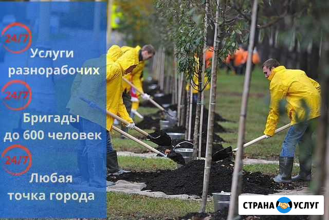 Разнорабочие Грузчики Землекопы Москва - изображение 1