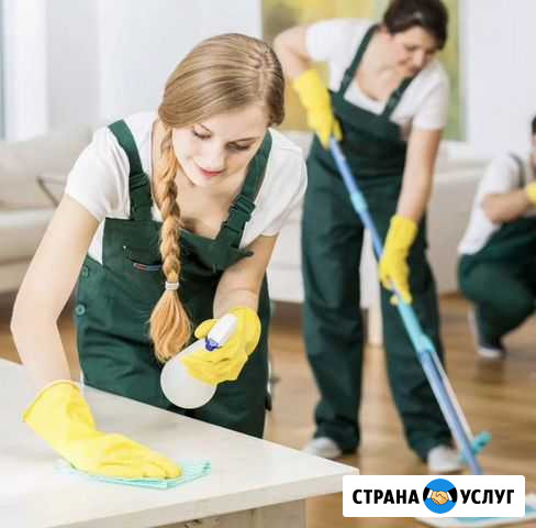 Клининг Подольск - изображение 1