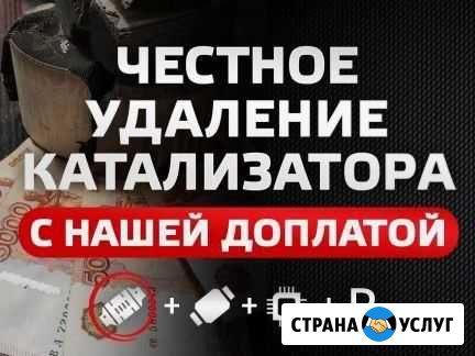 Удаление Катализатора Бесплатно.Тула Euro2 Бесплат Тула - изображение 1