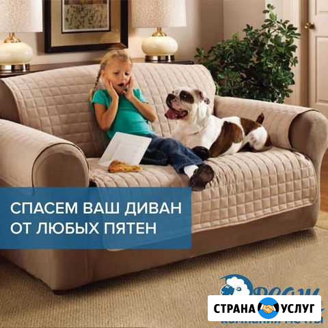 Химчистка мебели и ковровых покрытий Елизово - изображение 1