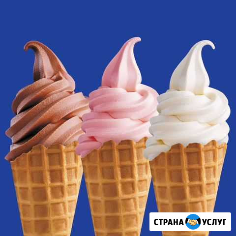Аренда фризера на мероприятие Новосибирск - изображение 1