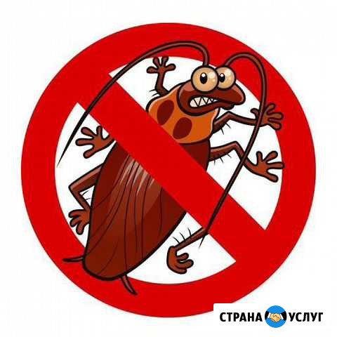 Уничтожение клопов и тараканов Новоалтайск - изображение 1