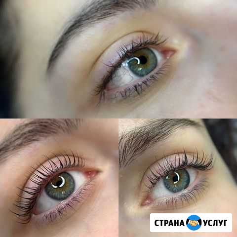 Ламинирование ресниц/окрашивание/ботокс. Брови Санкт-Петербург - изображение 1
