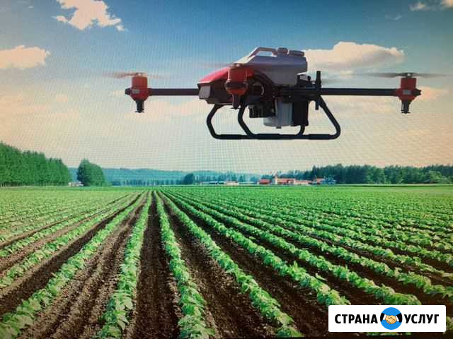 Обработка полей, садов дронами Нижний Новгород - изображение 1