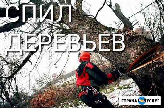 Спил деревьев Будённовск