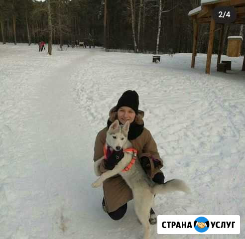 Кинолог Пермь - изображение 1