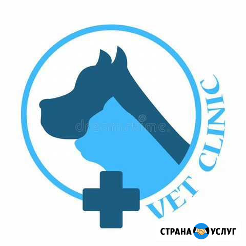 Услуги ветеринарного врача Ижевск - изображение 1