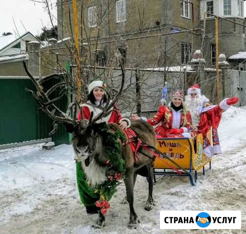 Оленьи упряжки на новогодние праздники Нижний Новгород - изображение 1