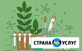 Репетитор по биологии Ульяновск - изображение 1
