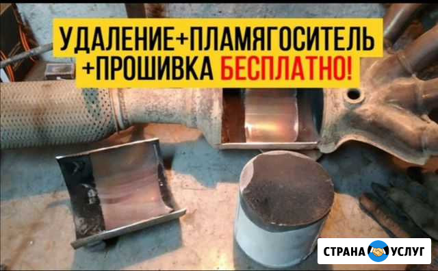 Бесплатное удаление катализатора с прошивкой Воронеж - изображение 1