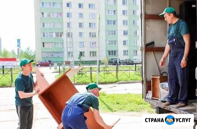 Грузчики Грузоперевозки Газель Воронеж - изображение 1