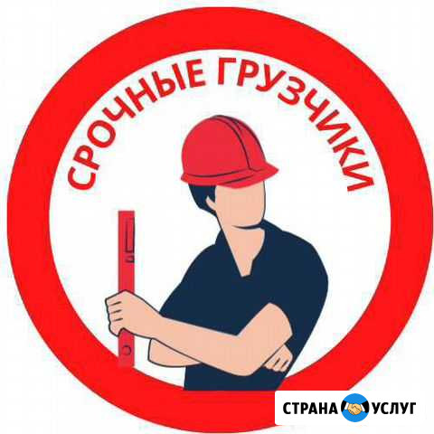 Грузчики/вывоз мусора/грузоперевозки Домодедово - изображение 1