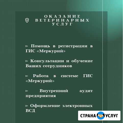 «гис Меркурий» Ростов-на-Дону - изображение 1