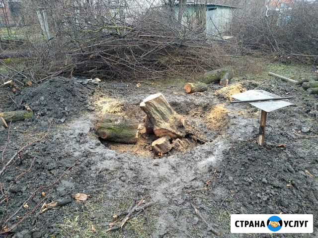 Спил деревьев, покос травы Краснодар - изображение 1