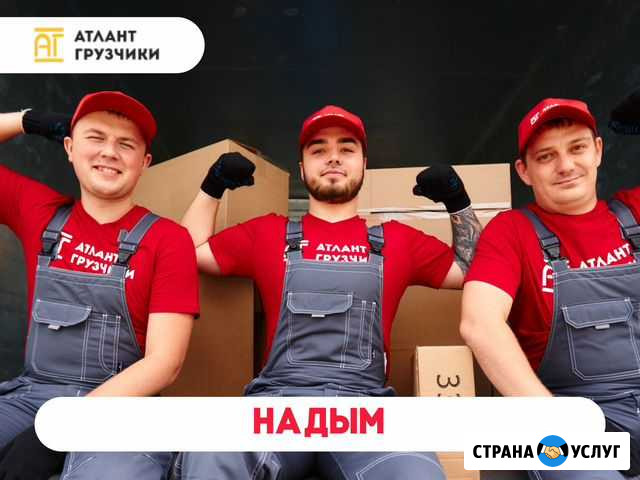 Грузчики Надым - изображение 1