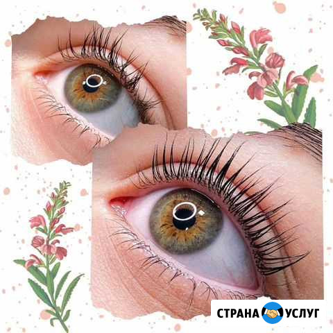 Ламинирование ресниц Lash Botox Санкт-Петербург - изображение 1