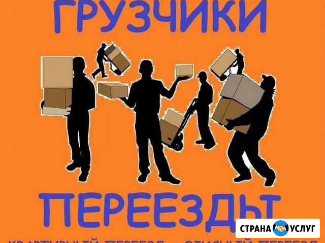 Грузчики Кораблино - изображение 1