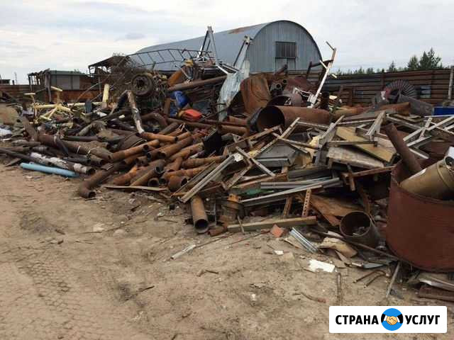 Распилим вывезим металалом цена за кг до 23р Елец - изображение 1