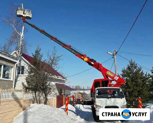 Спил аварийнных деревьев. Обрезка сада Короча - изображение 1