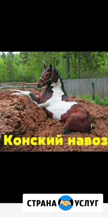 Навоз конский Верх-Нейвинский - изображение 1