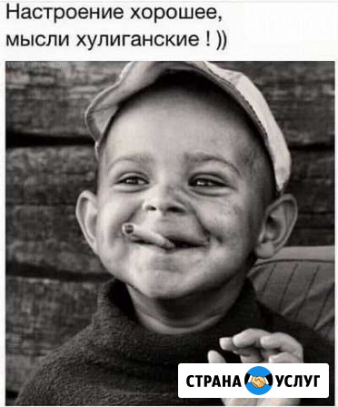 Подворныйй забой скота, крс, мрс, свиней. Отдельно Новопавловск - изображение 1