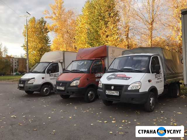 Грузоперевозки спб, ло, РФ Санкт-Петербург - изображение 1