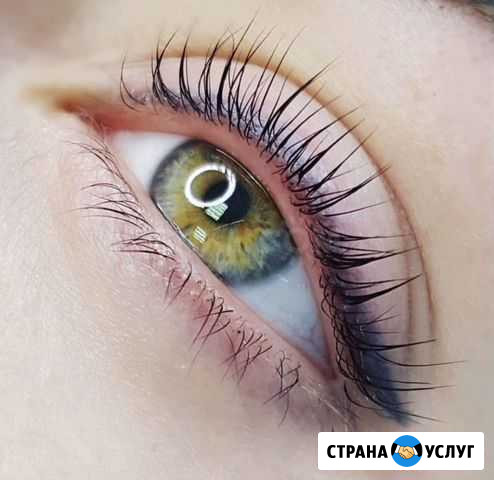 Вельвет ресниц и бровей Черемхово - изображение 1