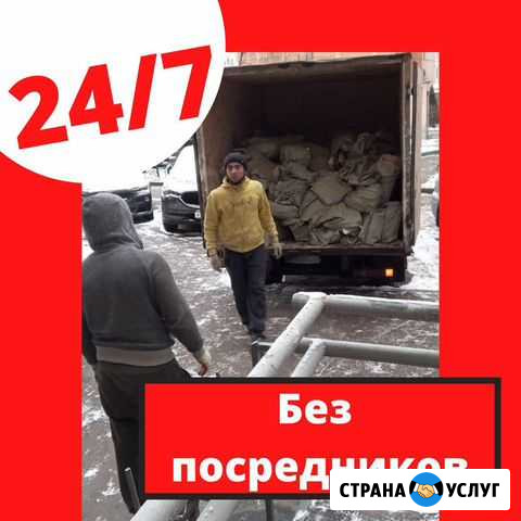 Вывоз и вынос мусора Москва - изображение 1