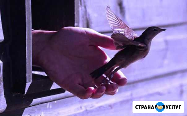 Стихи на заказ Тюмень - изображение 1