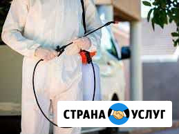 Дезинфекция, Обработка от клопов и тараканов Набережные Челны - изображение 1