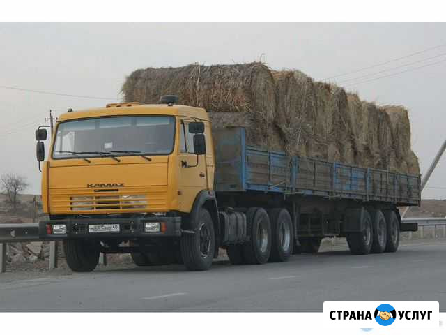 Автоуслуги камаз-длинномер Омск - изображение 1