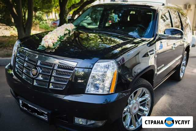 Аренда авто с водителем Сочи - изображение 1