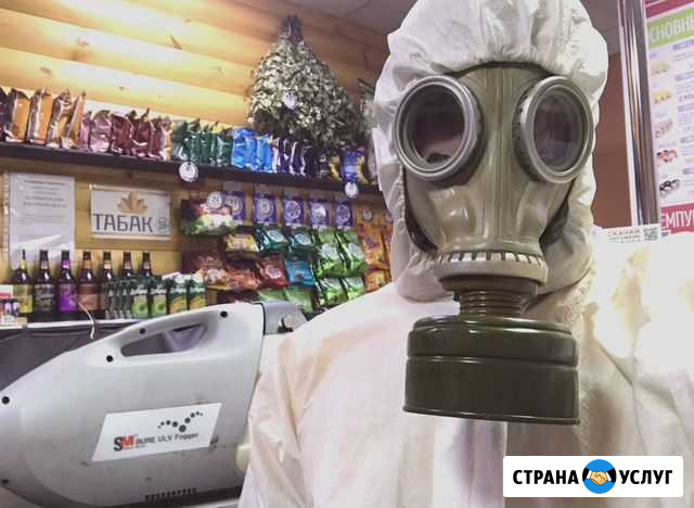 Дезинфекция от насекомых, грызунов, вирусов Тюмень - изображение 1