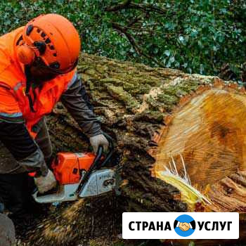 Спил деревьев. Измельчение в щепу. Удаление пней Курск - изображение 1