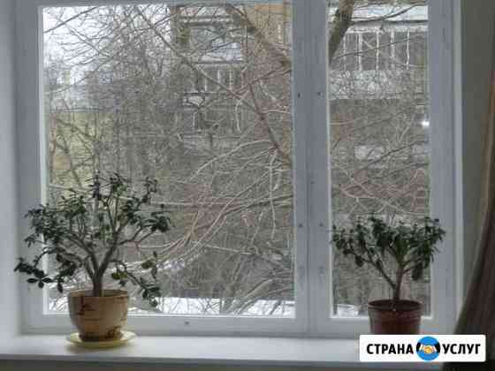 Ремонт Покраска и Утепление всех видов окон Москва
