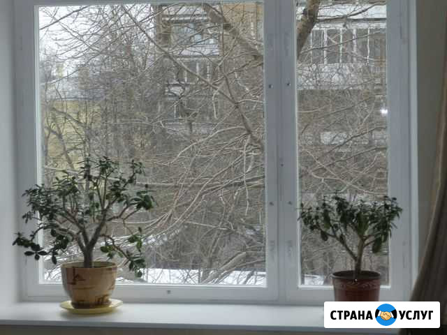 Ремонт Покраска и Утепление всех видов окон Москва - изображение 1