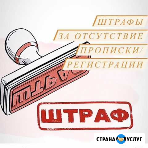 Помощь гражданам РФ школа сад Москва - изображение 1