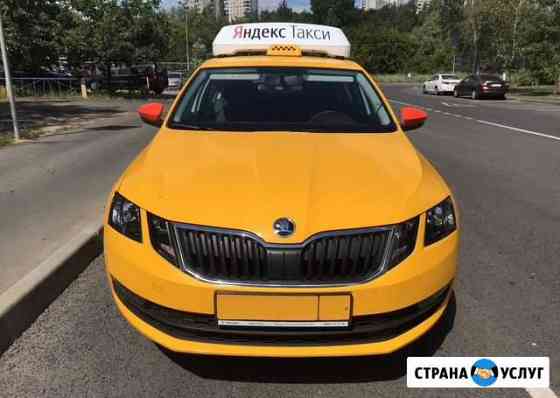 Аренда авто Skoda Octavia.Без залога Москва