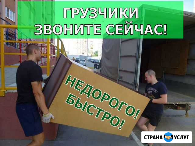 Грузчики Тверь - изображение 1