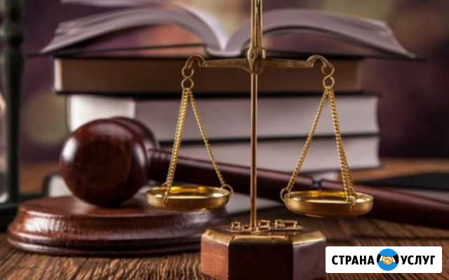 Адвокат по уголовным делам Вологда - изображение 1