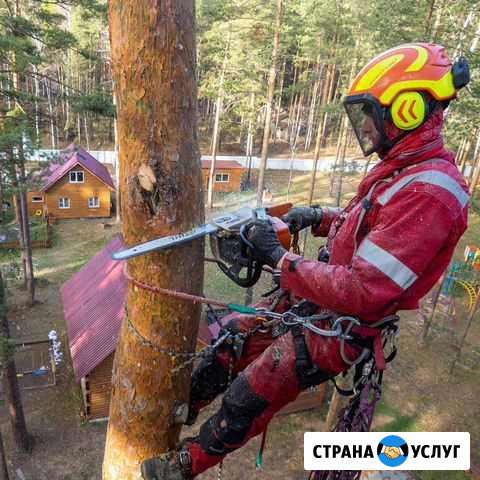 Спил деревьев Сысерть, Ревда, Сарапулка, Полевской Махнево - изображение 1